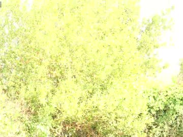 webcam girl yulladao image #2500228