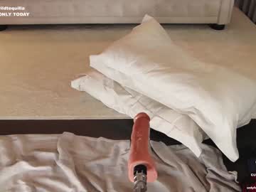 webcam girl wildtequilla image #5337355