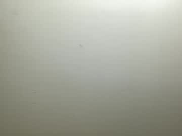 webcam man 69_aalpha_m0delfforyou1 image #3645927