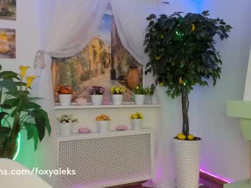 webcam girl foxy_aleks image #883682