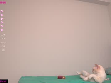 webcam girl the_hot_ruby image #2201196