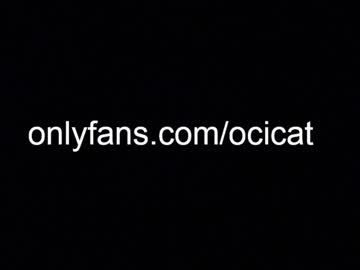 webcam girl ocicat image #5381580
