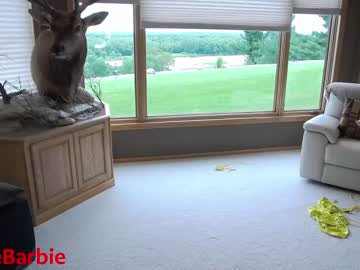 webcam girl rvlifebarbie image #2171136