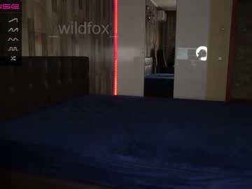 webcam couple _wildfox_ image #3182194