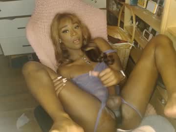 webcam tranny vanniall image #5841182
