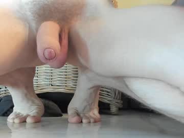 webcam man viksons image #5372360