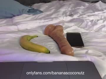 webcam girl bananascoconutz image #4429309