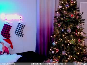 webcam girl foxy_gamer image #3257600