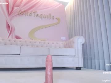 webcam girl wildtequilla image #5639606