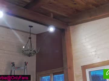 webcam girl rvlifebarbie image #3699189