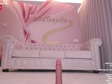 webcam girl wildtequilla image #3147197