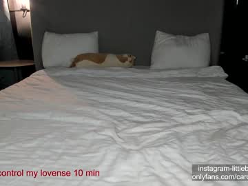 webcam girl carolinaherera image #6737191