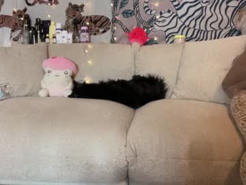 webcam girl ari_02 image #6741502