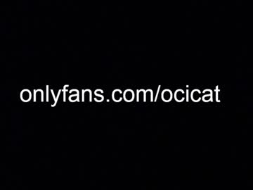 webcam girl ocicat image #5381418