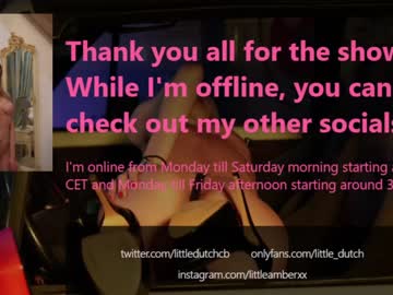 webcam girl little_dutch image #2305980