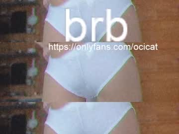 webcam girl ocicat image #2639639