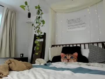 webcam girl sexyashley_21 image #4749841