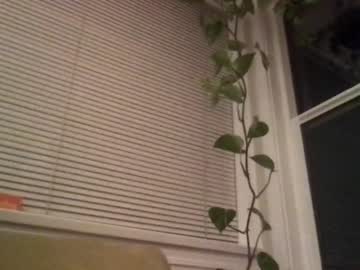 webcam girl bambis_honeypot image #932961