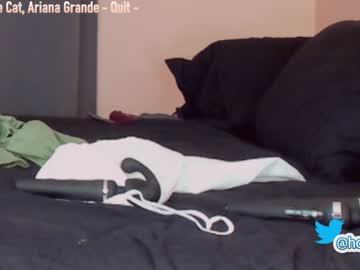 webcam girl hollyextra image #2271419