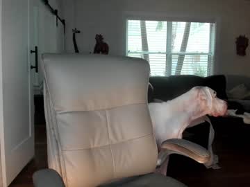 webcam girl alicelighthouse image #5230202