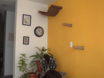 webcam girl maria_alfonsina image #2922912