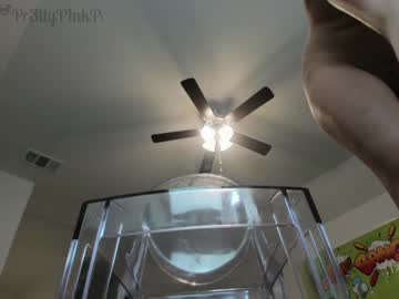 webcam girl pr3ttyp1nkpussy image #436315