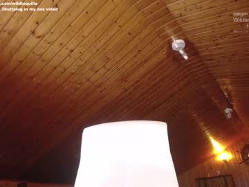 webcam girl wildtequilla image #1539534